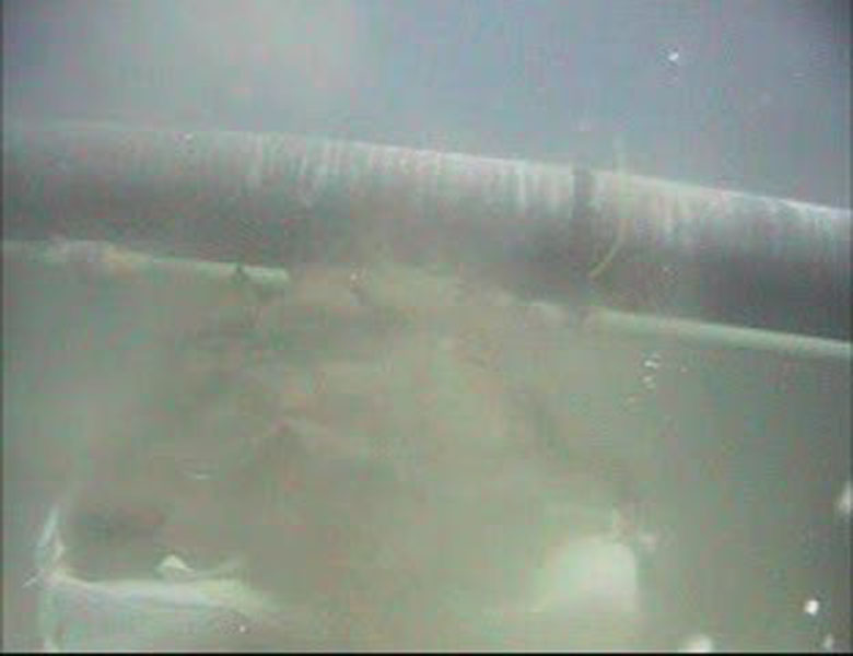 Bahama Cal Dive (MIA Plant) Feb. 2011